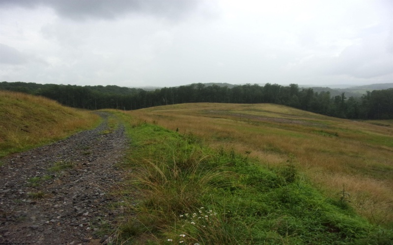 0 Everson Road, Buckhannon, West Virginia 26201, ,Lots/land,For Sale,Everson,10160519