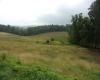 0 Everson Road, Buckhannon, West Virginia 26201, ,Lots/land,For Sale,Everson,10160519