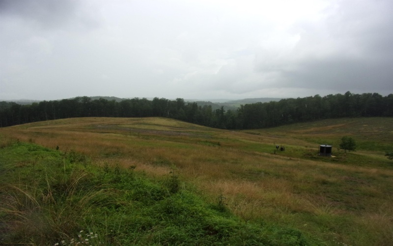 0 Everson Road, Buckhannon, West Virginia 26201, ,Lots/land,For Sale,Everson,10160519
