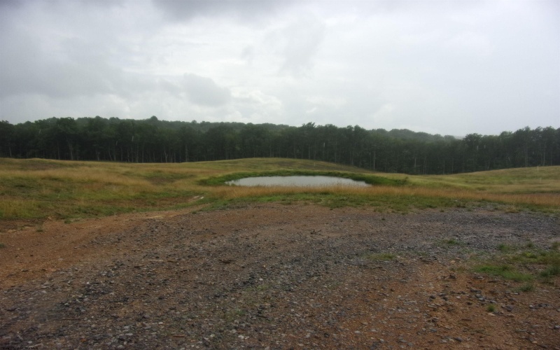 0 Everson Road, Buckhannon, West Virginia 26201, ,Lots/land,For Sale,Everson,10160519