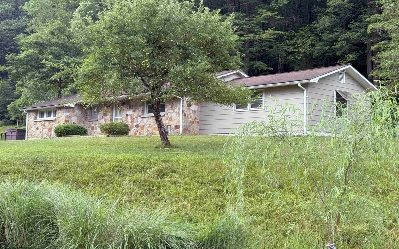 201 Davis & Elkins Street, Elkins, West Virginia 26241, 2 Bedrooms Bedrooms, 5 Rooms Rooms,1 BathroomBathrooms,Single Family Detached,For Sale,Davis & Elkins,10160521