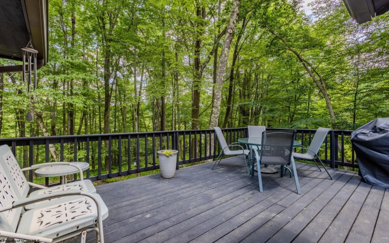 258 Pine Drive, Terra Alta, West Virginia 26764, 4 Bedrooms Bedrooms, 13 Rooms Rooms,3 BathroomsBathrooms,Single Family Detached,For Sale,Pine,10160529