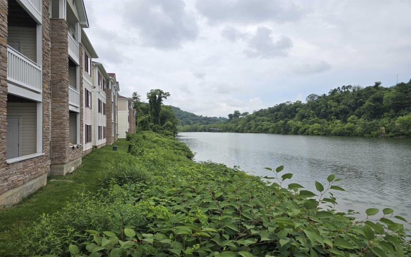 1205 University Commons Drive, Star City, West Virginia 26505, 4 Bedrooms Bedrooms, 6 Rooms Rooms,4 BathroomsBathrooms,Single Family Attached,For Sale,University Commons,10160530