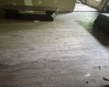 1742 Rush Run Road, Burton, West Virginia 26562, ,Lots/land,For Sale,Rush Run,10160528 1742 Rush Run Road, Burton, West Virginia 26562, ,Lots/land,For Sale,Rush Run,10160528
