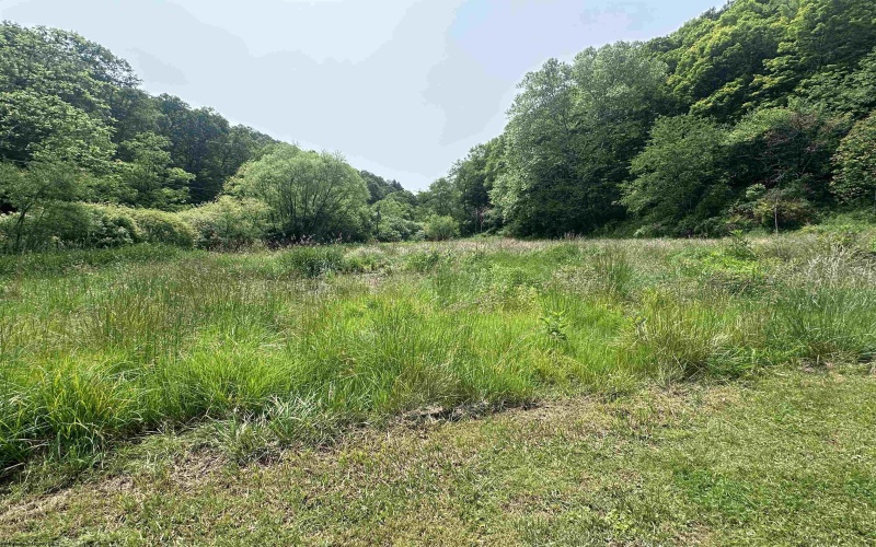 1742 Rush Run Road, Burton, West Virginia 26562, ,Lots/land,For Sale,Rush Run,10160528 1742 Rush Run Road, Burton, West Virginia 26562, ,Lots/land,For Sale,Rush Run,10160528