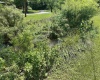 1742 Rush Run Road, Burton, West Virginia 26562, ,Lots/land,For Sale,Rush Run,10160528