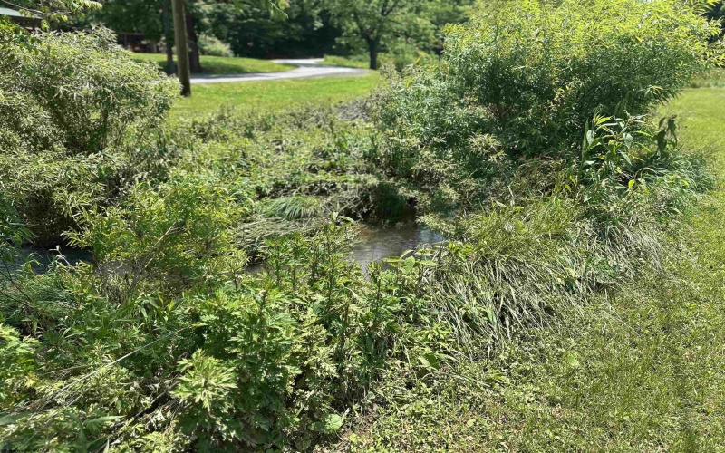 1742 Rush Run Road, Burton, West Virginia 26562, ,Lots/land,For Sale,Rush Run,10160528