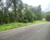 TBD Limestone Road, Parsons, West Virginia 26287, ,Lots/land,For Sale,Limestone,10160546