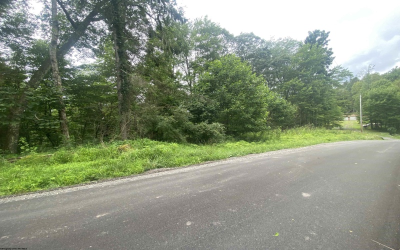 TBD Limestone Road, Parsons, West Virginia 26287, ,Lots/land,For Sale,Limestone,10160546