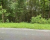 TBD Limestone Road, Parsons, West Virginia 26287, ,Lots/land,For Sale,Limestone,10160546