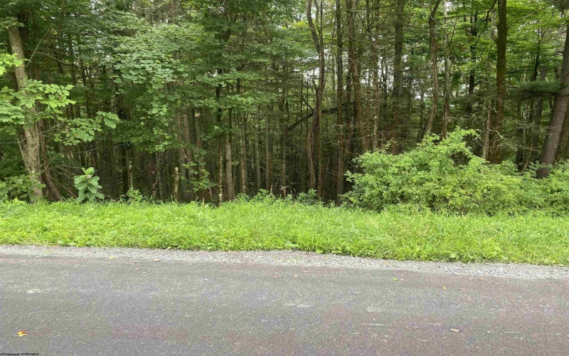 TBD Limestone Road, Parsons, West Virginia 26287, ,Lots/land,For Sale,Limestone,10160546