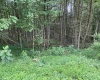 TBD Limestone Road, Parsons, West Virginia 26287, ,Lots/land,For Sale,Limestone,10160546