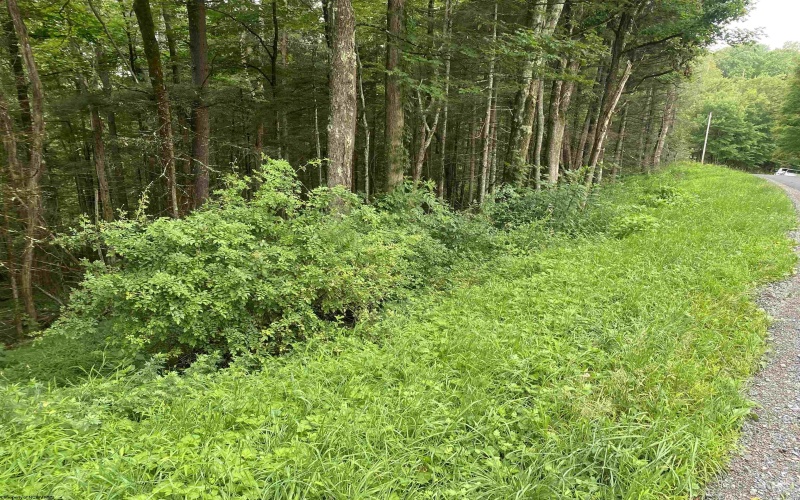 TBD Limestone Road, Parsons, West Virginia 26287, ,Lots/land,For Sale,Limestone,10160546