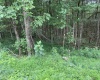 TBD Limestone Road, Parsons, West Virginia 26287, ,Lots/land,For Sale,Limestone,10160546