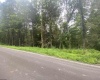 TBD Limestone Road, Parsons, West Virginia 26287, ,Lots/land,For Sale,Limestone,10160546