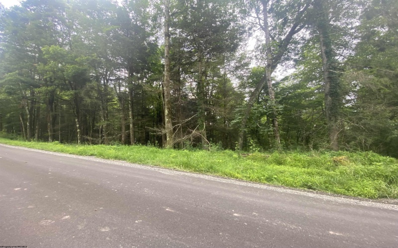 TBD Limestone Road, Parsons, West Virginia 26287, ,Lots/land,For Sale,Limestone,10160546