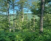 TBD Cheat Valley Highway, Parsons, West Virginia 26287, ,Lots/land,For Sale,Cheat Valley,10160536