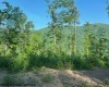 TBD Cheat Valley Highway, Parsons, West Virginia 26287, ,Lots/land,For Sale,Cheat Valley,10160536