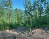 TBD Cheat Valley Highway, Parsons, West Virginia 26287, ,Lots/land,For Sale,Cheat Valley,10160536