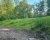 TBD Cheat Valley Highway, Parsons, West Virginia 26287, ,Lots/land,For Sale,Cheat Valley,10160536