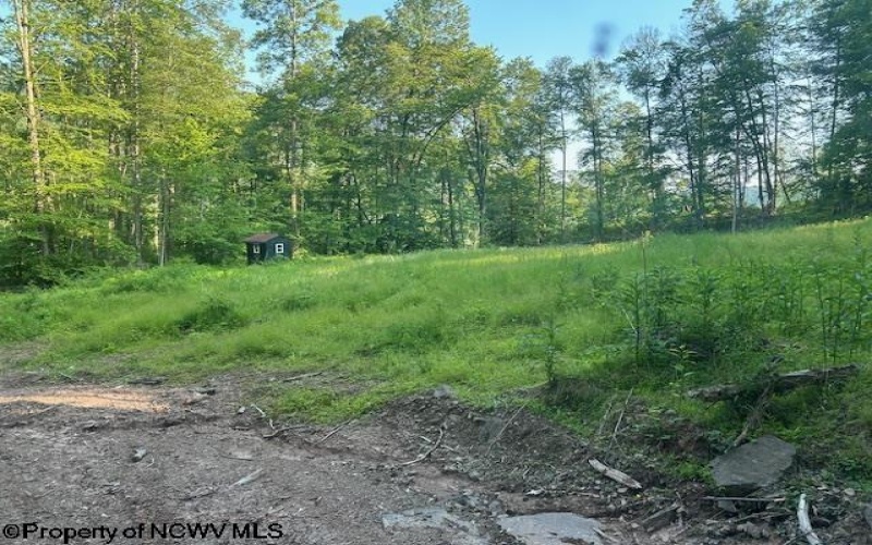 TBD Cheat Valley Highway, Parsons, West Virginia 26287, ,Lots/land,For Sale,Cheat Valley,10160536