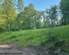 TBD Cheat Valley Highway, Parsons, West Virginia 26287, ,Lots/land,For Sale,Cheat Valley,10160536