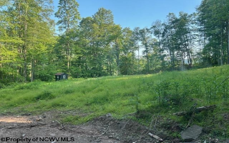 TBD Cheat Valley Highway, Parsons, West Virginia 26287, ,Lots/land,For Sale,Cheat Valley,10160536