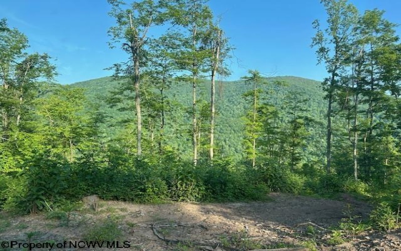 TBD Cheat Valley Highway, Parsons, West Virginia 26287, ,Lots/land,For Sale,Cheat Valley,10160536