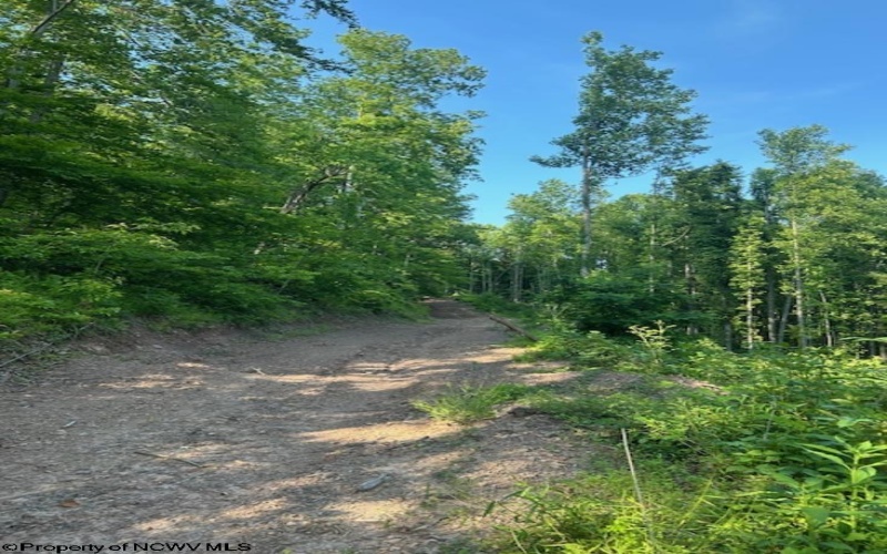TBD Cheat Valley Highway, Parsons, West Virginia 26287, ,Lots/land,For Sale,Cheat Valley,10160536