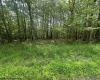 Lots 85 and 86 Lakeview Drive, Terra Alta, West Virginia 26764, ,Lots/land,For Sale,Lakeview,10160542