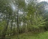 Lots 85 and 86 Lakeview Drive, Terra Alta, West Virginia 26764, ,Lots/land,For Sale,Lakeview,10160542