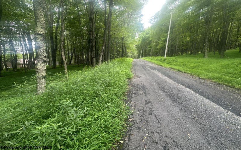 Lots 96 & 97 Bluebird Drive, Terra Alta, West Virginia 26764, ,Lots/land,For Sale,Bluebird,10160544
