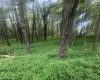 Lots 96 & 97 Bluebird Drive, Terra Alta, West Virginia 26764, ,Lots/land,For Sale,Bluebird,10160544