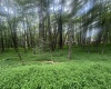 Lots 96 & 97 Bluebird Drive, Terra Alta, West Virginia 26764, ,Lots/land,For Sale,Bluebird,10160544