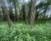Lots 96 & 97 Bluebird Drive, Terra Alta, West Virginia 26764, ,Lots/land,For Sale,Bluebird,10160544