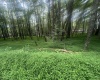 Lots 96 & 97 Bluebird Drive, Terra Alta, West Virginia 26764, ,Lots/land,For Sale,Bluebird,10160544