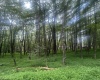 Lots 96 & 97 Bluebird Drive, Terra Alta, West Virginia 26764, ,Lots/land,For Sale,Bluebird,10160544