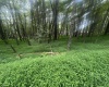 Lots 96 & 97 Bluebird Drive, Terra Alta, West Virginia 26764, ,Lots/land,For Sale,Bluebird,10160544