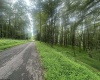 Lots 96 & 97 Bluebird Drive, Terra Alta, West Virginia 26764, ,Lots/land,For Sale,Bluebird,10160544
