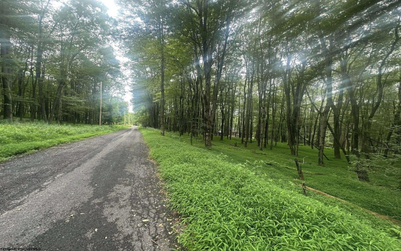 Lots 96 & 97 Bluebird Drive, Terra Alta, West Virginia 26764, ,Lots/land,For Sale,Bluebird,10160544