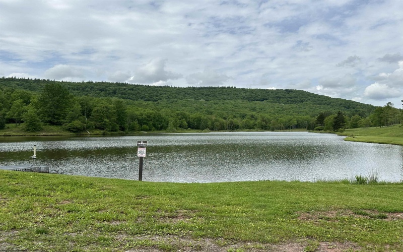 344 Mallow Lake Drive, Davis, West Virginia 26260, 3 Bedrooms Bedrooms, 12 Rooms Rooms,4 BathroomsBathrooms,Single Family Detached,For Sale,Mallow Lake,10160537