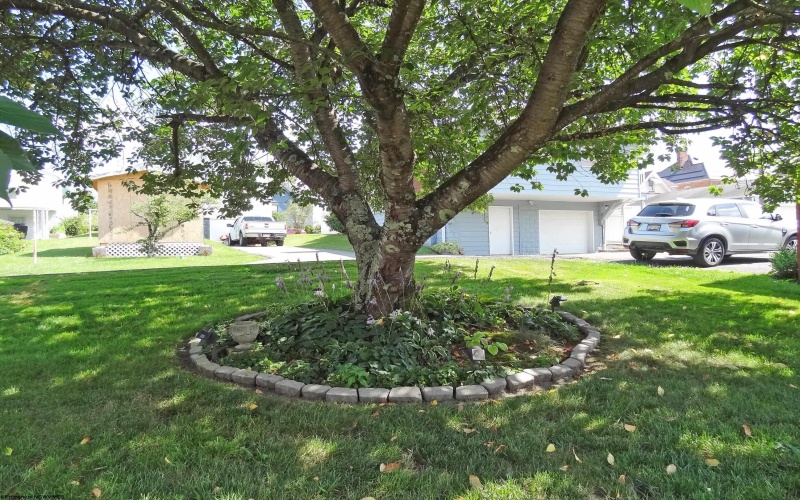704 Morgantown Avenue, Fairmont, West Virginia 26554, 3 Bedrooms Bedrooms, 8 Rooms Rooms,1 BathroomBathrooms,Single Family Detached,For Sale,Morgantown,10160531
