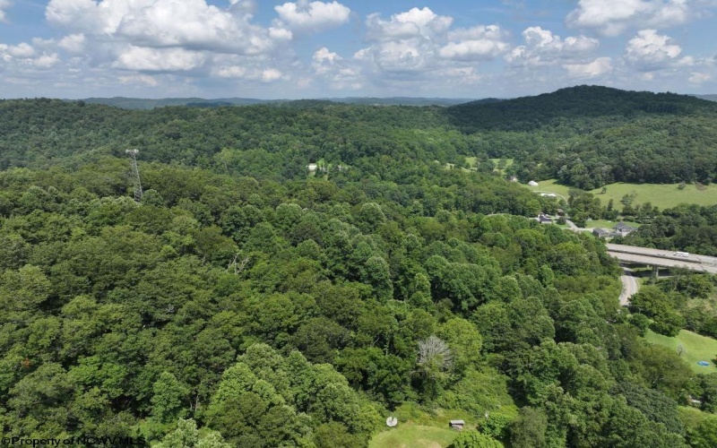 0 Lifes Run Road, Jane Lew, West Virginia 26378, ,Lots/land,For Sale,Lifes Run,10160555