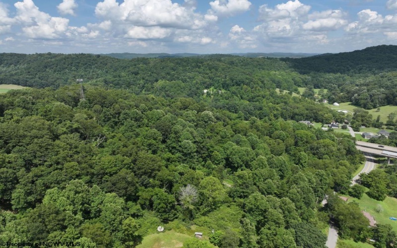 0 Lifes Run Road, Jane Lew, West Virginia 26378, ,Lots/land,For Sale,Lifes Run,10160555
