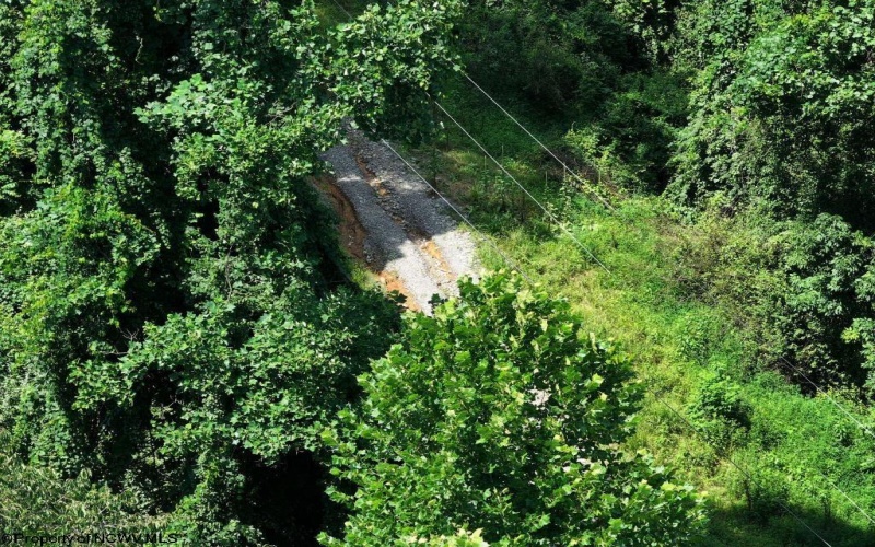 0 Lifes Run Road, Jane Lew, West Virginia 26378, ,Lots/land,For Sale,Lifes Run,10160555