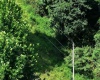 0 Lifes Run Road, Jane Lew, West Virginia 26378, ,Lots/land,For Sale,Lifes Run,10160555