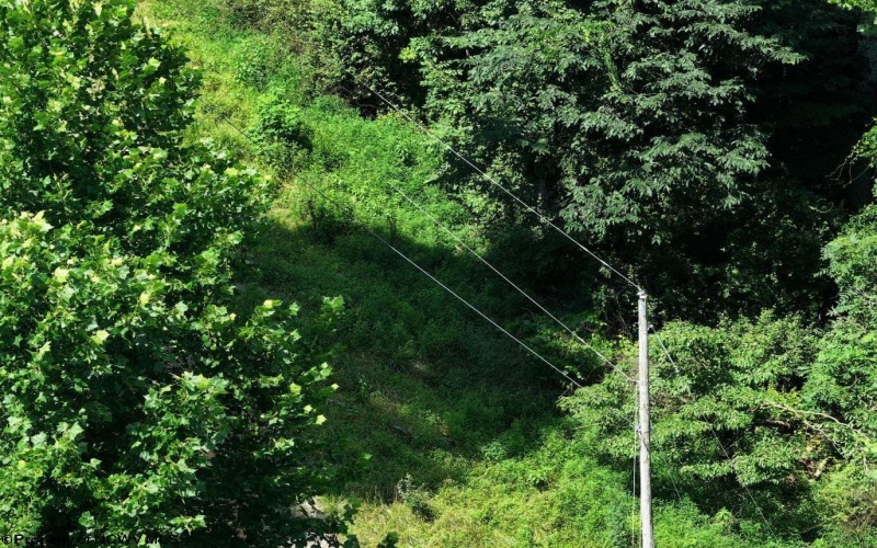 0 Lifes Run Road, Jane Lew, West Virginia 26378, ,Lots/land,For Sale,Lifes Run,10160555