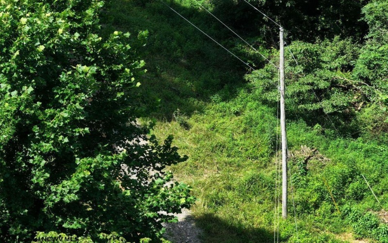 0 Lifes Run Road, Jane Lew, West Virginia 26378, ,Lots/land,For Sale,Lifes Run,10160555