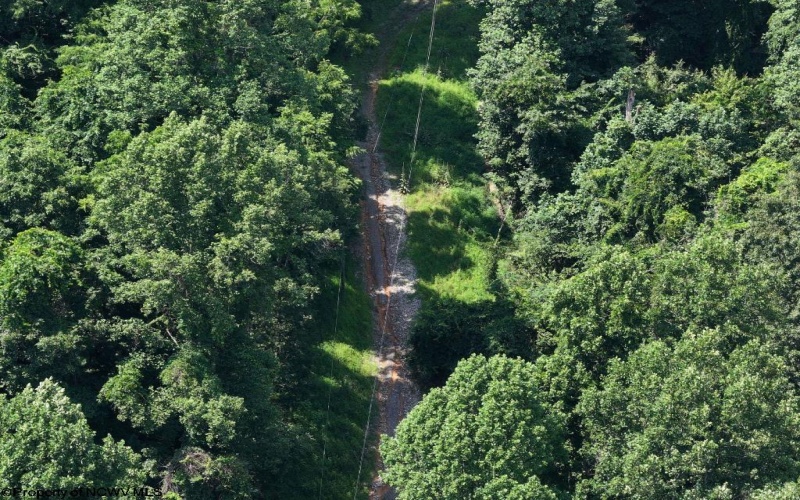 0 Lifes Run Road, Jane Lew, West Virginia 26378, ,Lots/land,For Sale,Lifes Run,10160555