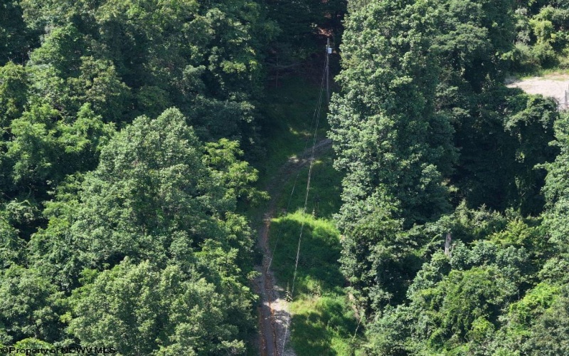 0 Lifes Run Road, Jane Lew, West Virginia 26378, ,Lots/land,For Sale,Lifes Run,10160555
